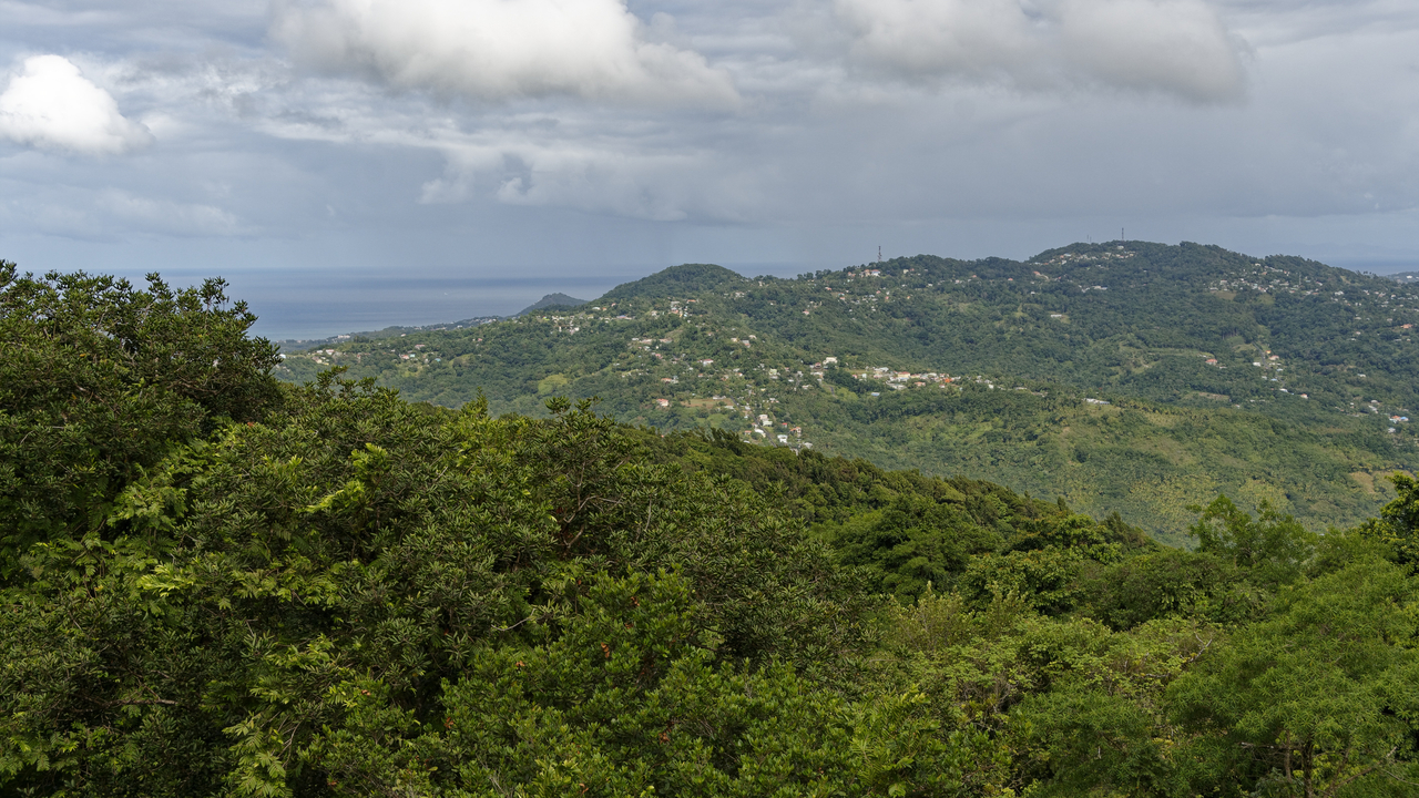 20190201-103137•Rain Forst Aerial Tram•Bisee•Castries•St Lucia